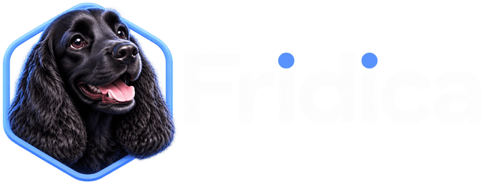 Fridica SEO, AEO and GEO auditing tool